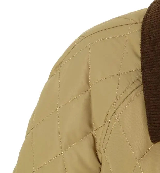 Solid Contrast Collar Hoodless Padded Jacket